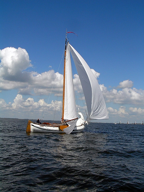 Lemsteraak_Ahoy2008 (199).jpg